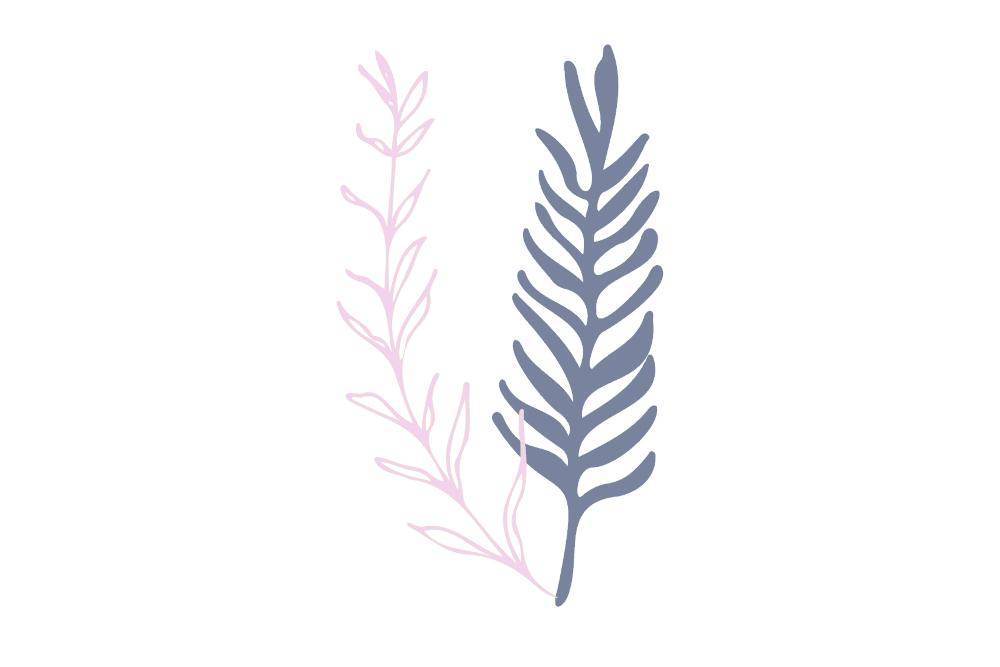 2 leaf stems in blue and pink